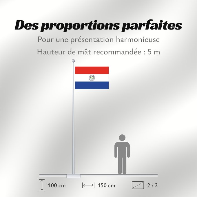 Proportions du drapeau : Paraguay Paraguay obverse علم باراغواي پرچم پاراگوئه روی پرچم Флаг Парагвая