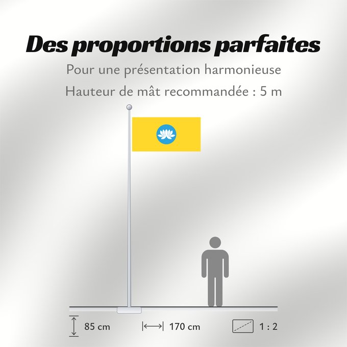 Proportions du drapeau : Kalmykia	Kalmoukie	República de Kalmukia 	Kalmückien	Флаг Республики Калмыкия	Туг Хальмг Таңһч