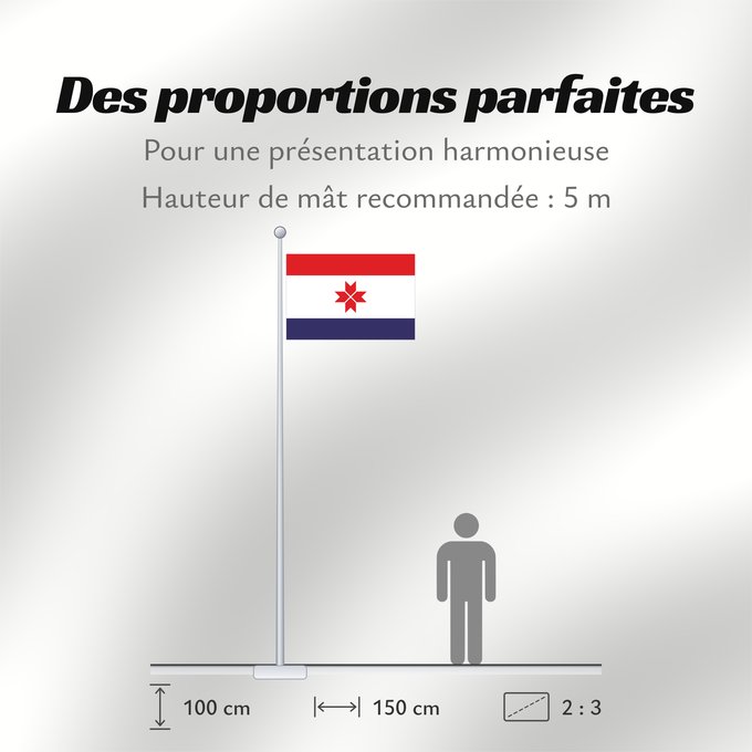 Proportions du drapeau : Mordovia	Republic of Mordovia	Mordovie	 República de Mordovia 	Mordowia	Repubblica di Mordovia
