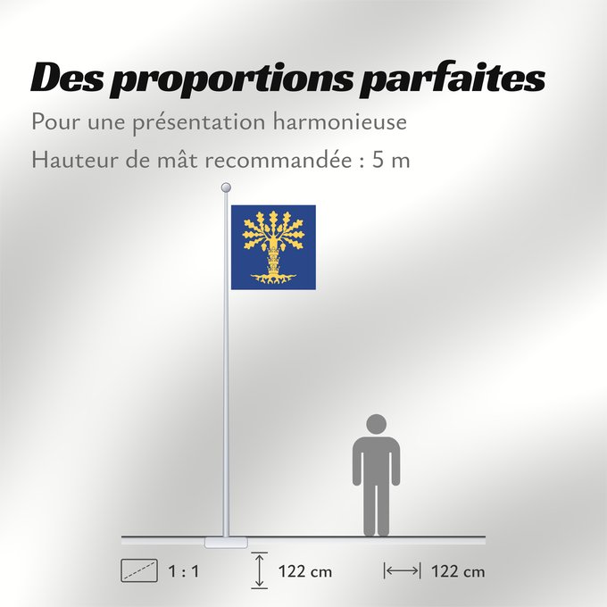 Proportions du drapeau : Blekinge län vapenflagga	See about CoA blazoning [Expand]	Blekinge	Blekinge läns vapenflagga