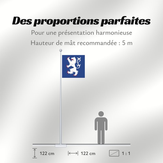 Proportions du drapeau : Hallands län vapenflagga	Halland County in Sweden	Halland	Hallands läns vapenflagga