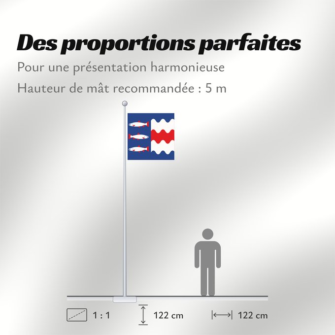 Proportions du drapeau : Västernorrlands län