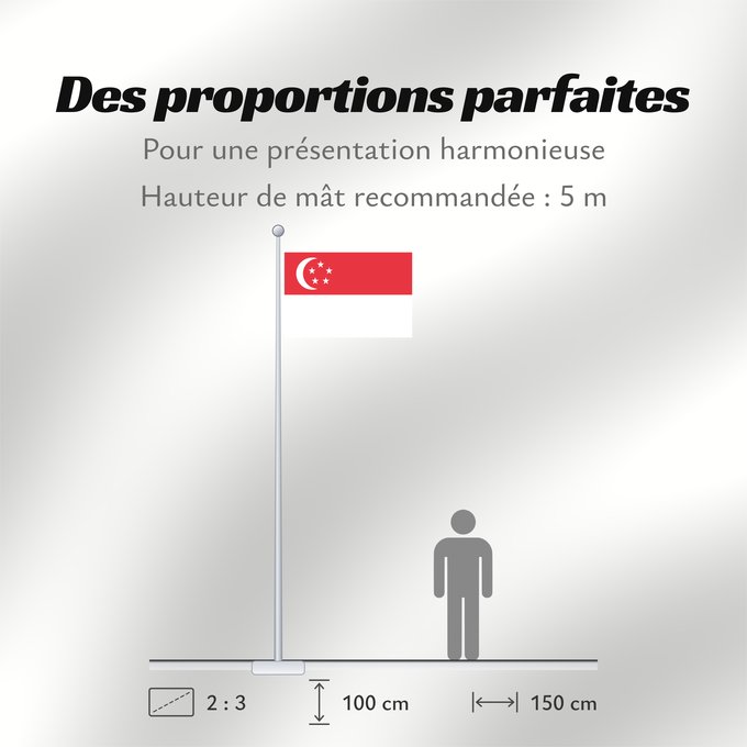 Proportions du drapeau : Singapore	Singapour	Singapur	Singapuru	علم سنغافورة	Singapuro	Singapura	Флаг Сингапура	Singapurja	சிங்கப்பூரி்ன் கொடி	​新加坡国旗