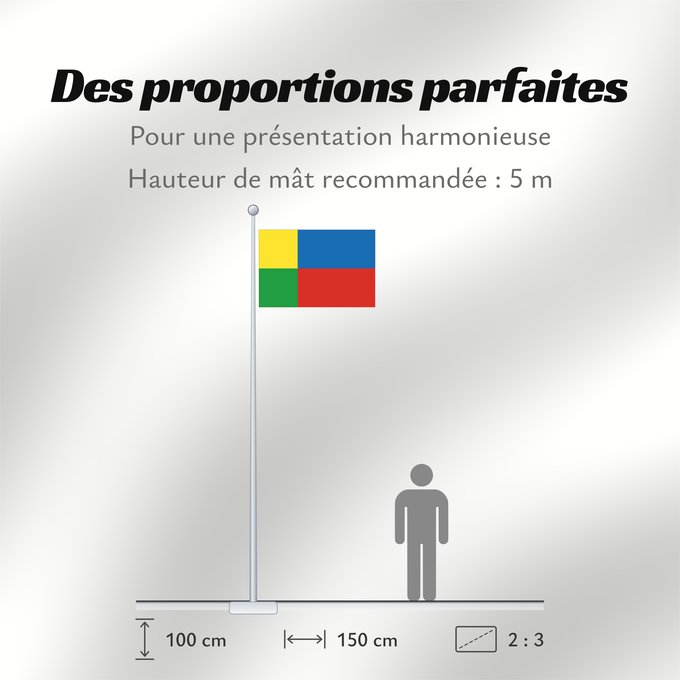 Proportions du drapeau : Zilinsky vlajka	Žilina Region	Région de Žilina	Región de Žilina	Žilina