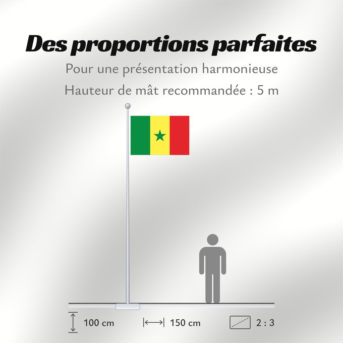 Proportions du drapeau : Senegal	Sénégal	Senegalo	پرچم سنگال	Senegala