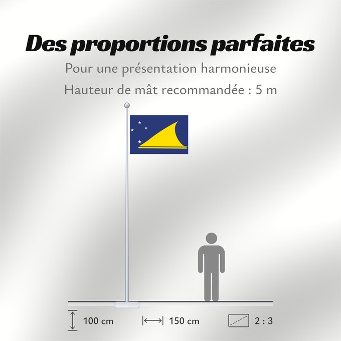 Proportions du drapeau : Tokelau	Tokelau since May 2008	Tokelau que fuera adoptada en mayo de 2008 por el parlamento local de este territorio dependiente de Nueva Zelanda	Pīwari o Tokelau