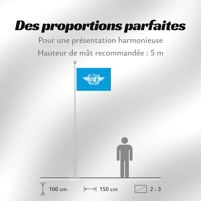 Proportions du drapeau : ICAO	International Civil Aviation Organization	L Organisation de l aviation civile internationale