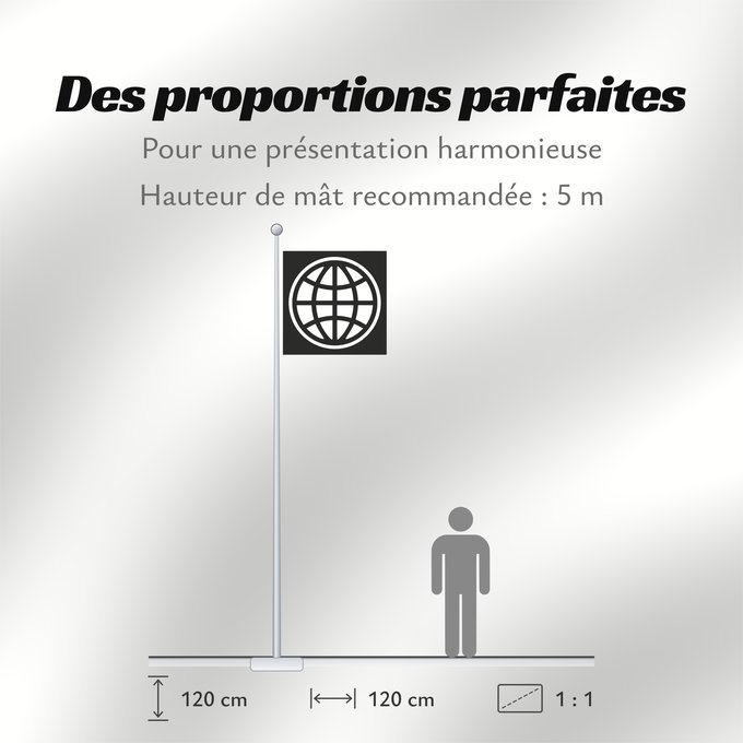 Proportions du drapeau : The World Bank Group