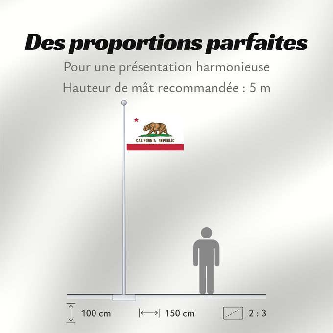 Proportions du drapeau : California	Californie	Kalifornien	Californië	ᎠᏕᎳᏧᏢᎢ ᎦᏓᏘ	Ka hae Kaleponi	דגל מדינת קליפורניה	Californiae	Ahééháshį́į́h Hahoodzo bidah naatʼaʼí	Флаг Калифорнии	Američke savezne države Kalifornije	ⴰⵙⴻⵏⵢⴰⵍ ⵏ ⴽⴰⵍⵉⴼⵓⵕⵏⵢⴰ