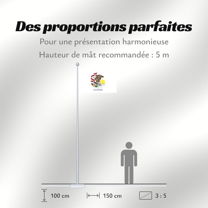 Proportions du drapeau : Illinois