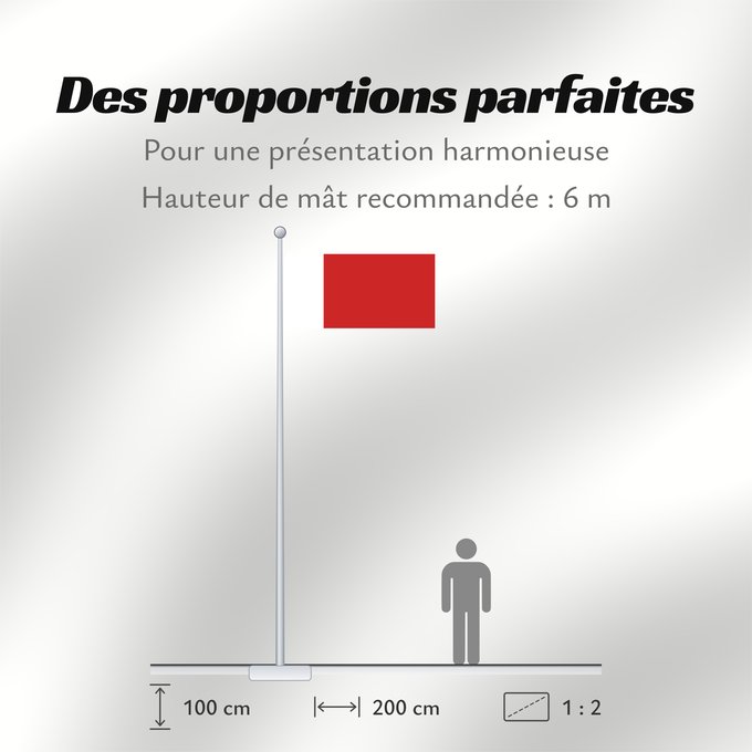 Proportions du drapeau : Ajman	D Ajman	Adschman	علم إمارة عجمان