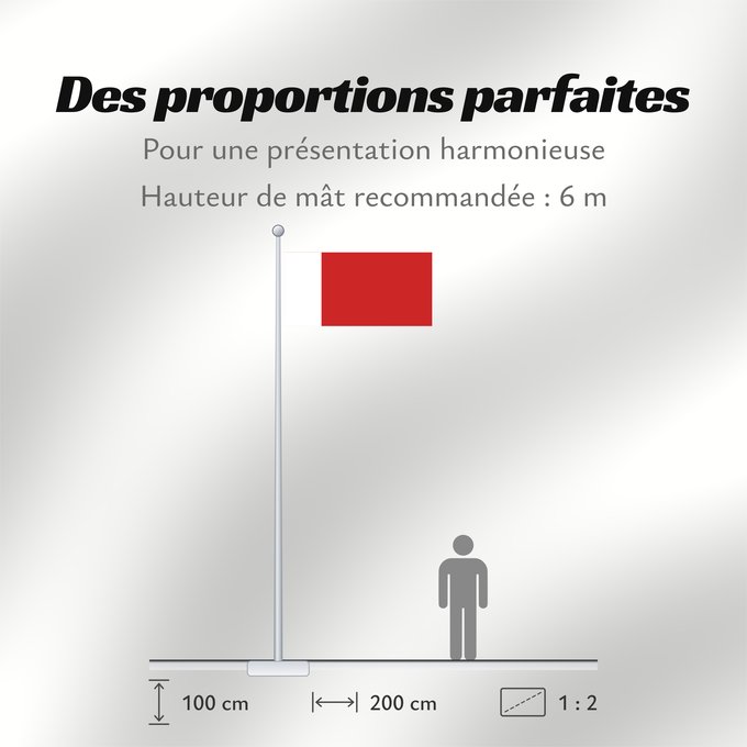 Proportions du drapeau : Dubai Dubaï