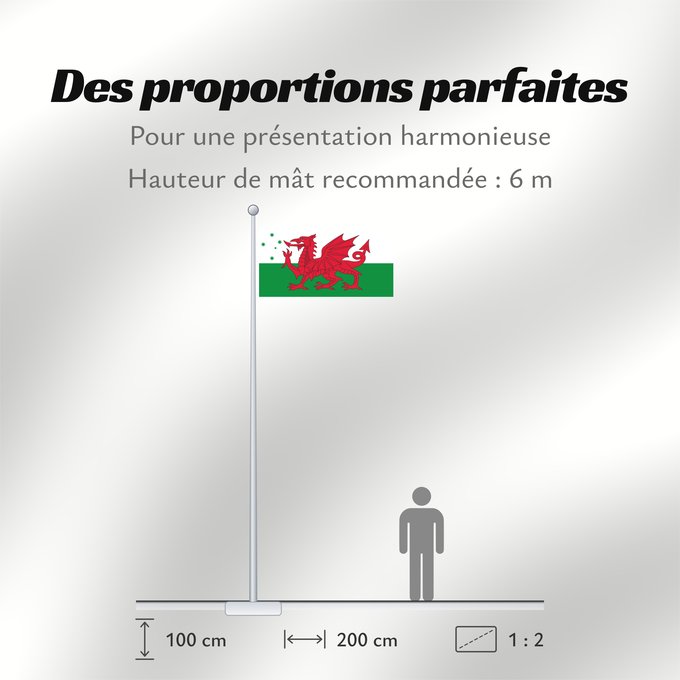 Proportions du drapeau : Australian Welsh heritage