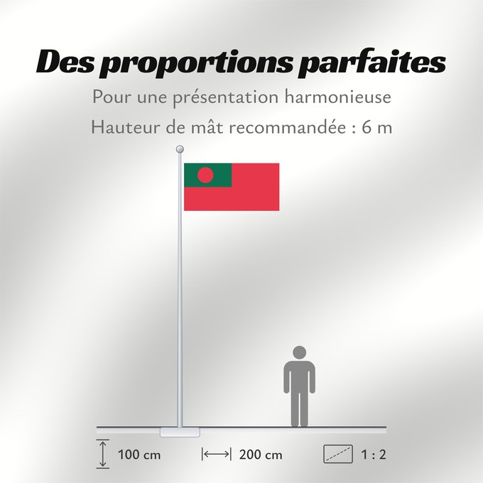 Proportions du drapeau : Civil Ensign of Bangladesh	Bangladesh - Civil Ensign	Bangladesh - Pavillon Civil	Bangladés - Pabellón Civil	Bangladesch - Zivilschiffsflagge	Bangladesh - Bandiera Civile