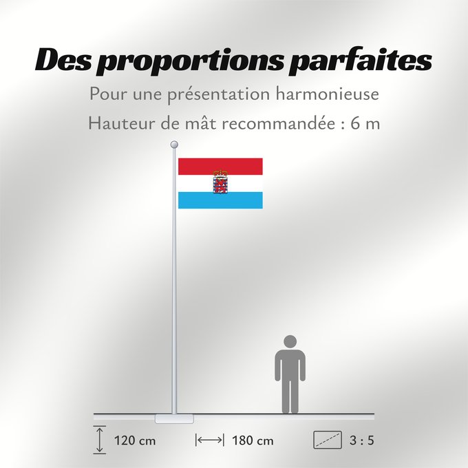 Proportions du drapeau : Province of Luxembourg Belgium This W3C-unspecified vector image was created with Adobe Illustrator Un drapeau non-officiel de la province de Luxembourg Belgique Luxemburgo (BE) Luxemburg (Belgien) Lussemburgo (BE)