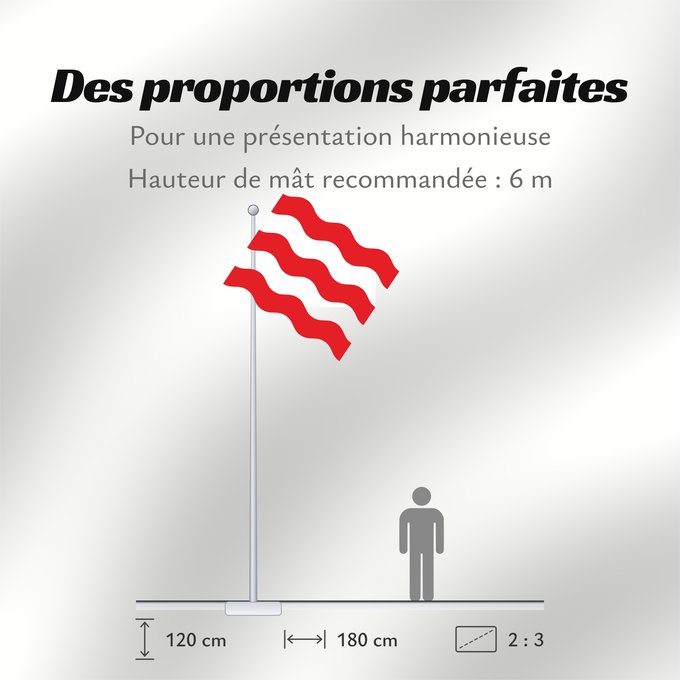 Proportions du drapeau : Antoing Municipal flag of Antoing, Belgium