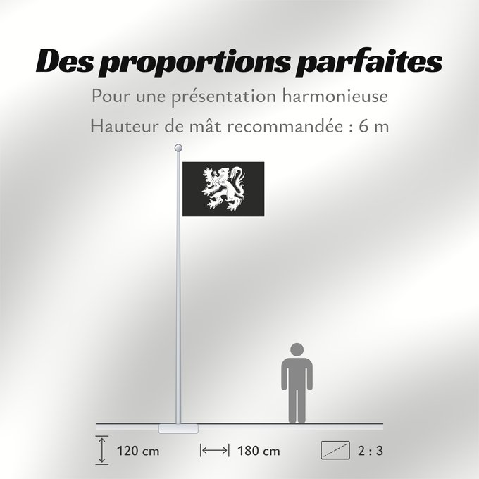 Proportions du drapeau : Asse	Municipal flag of Asse, Belgium