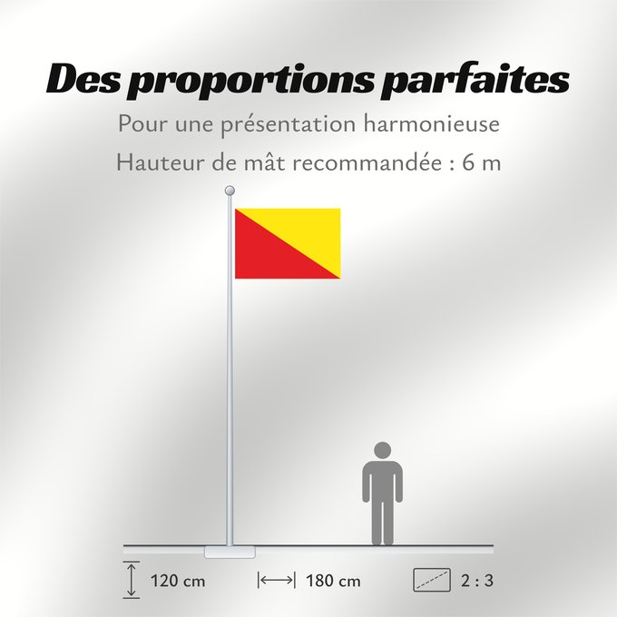 Proportions du drapeau : Belœil Belgian commune of Belœil