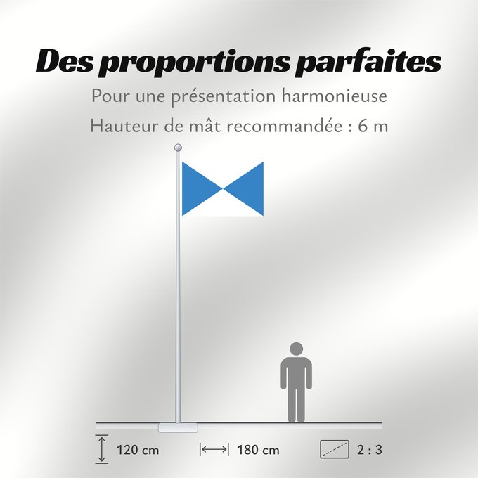 Proportions du drapeau : Halle