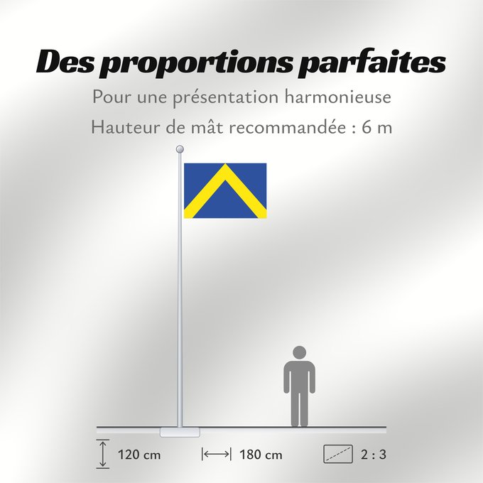 Proportions du drapeau : Ternat	Belgian municipality of Ternat	Commune belge de Ternat	Belgischen Gemeinde Ternat	Vlaams-Brabantse gemeente Ternat