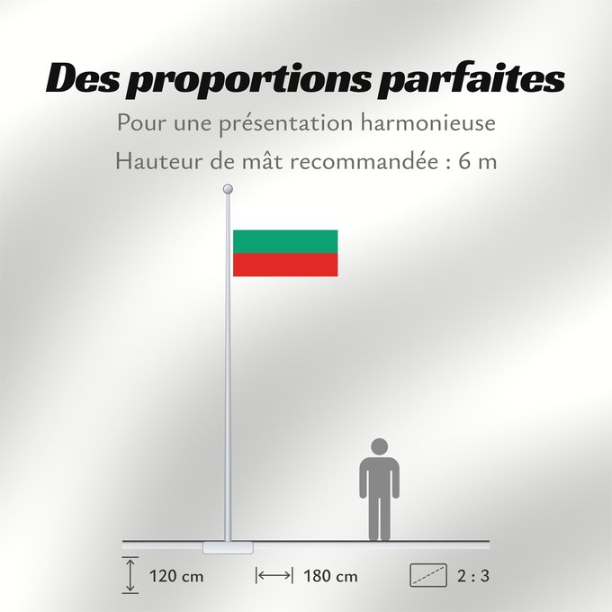 Proportions du drapeau : Bulgaria	La Bulgarie	Bulgarien	Bulgara	Bulgarije	Bulgária	Bułgarii	Национално знаме на България	Bulharská vlajka	ꙁна́мѧ Блъгарі́ꙗ	Bulgariens	Σημαία της Βουλγαρίας	Bulgaaria lipp	Bulgarian	Bulgáire	דגל בולגריה	Bugarske	ბულგარეთის დროშა	Bulgaresche Fändel	B