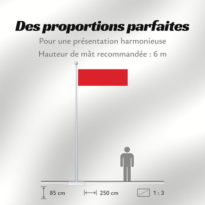 Proportions du drapeau : Bahrain  before 1820	Bahrain from the 18th century to 1820  de facto until 1910	Bahreïn (avant 1820)	Baréin (antes de 1820)	Bahrain (vor 1820)	Bahrain (prima del 1820)