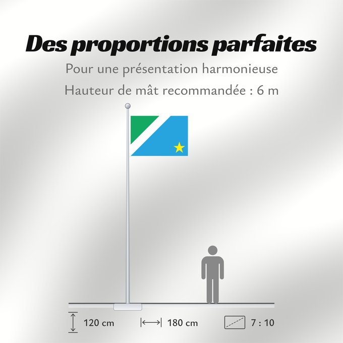 Proportions du drapeau : Mato Grosso do Sul	Mato Grosso do Sul, Brazil	Mato Grosso del Sur