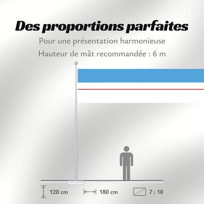 Proportions du drapeau : Roraima