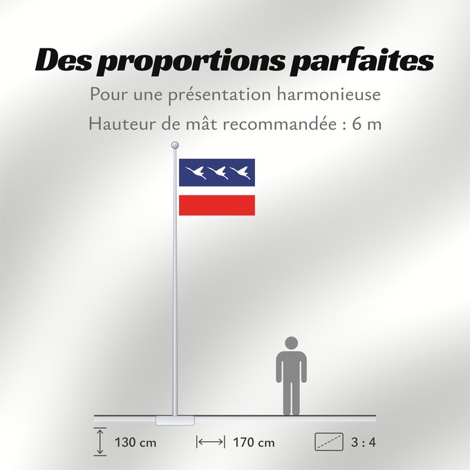 Proportions du drapeau : Guaratingueta SaoPaulo Brasil 2	Sao Paulo s city Guaratinguetá, Brazil	Guaratinguetá (2)	Município de Guaratinguetá no Estado de São Paulo