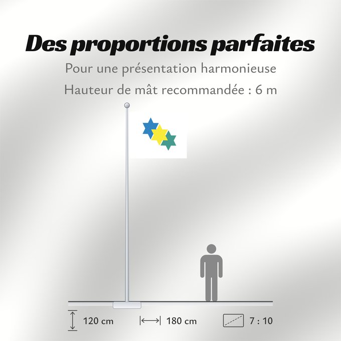 Proportions du drapeau : Ji-paraná Ji-Paraná Município de Ji-Paraná no Estado de Rondônia