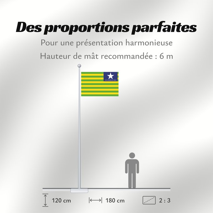 Proportions du drapeau : Piauí verso Verse of the flag of the state of Piaui designed by me in accordance with the state law of 1,050 Piauí (envers) Piauí (reverso) Piauí (Rückseite) Versetto di bandiera dello stato di Piauí progettato da me in conformità con la legge n Verso da