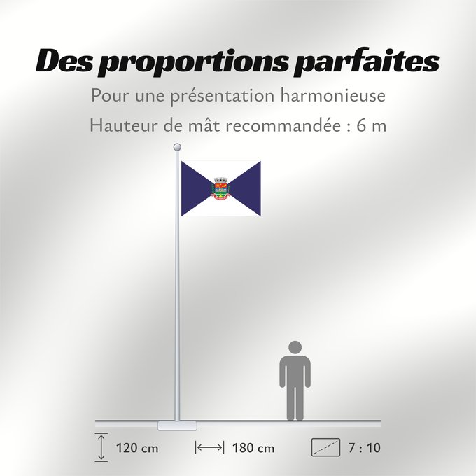 Proportions du drapeau : São Gonçalo	São Gonçalo, RJ, Brazil
