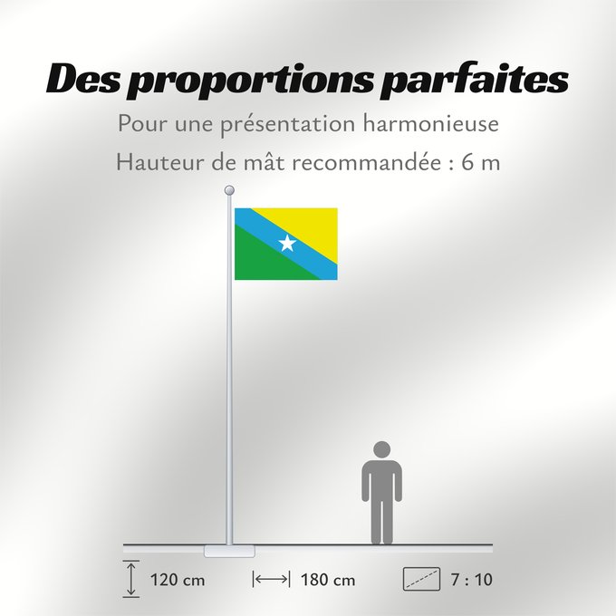 Proportions du drapeau : Urupá	Municipality of Urupá in the State of Rondônia	Município de Urupá no Estado de Rondônia