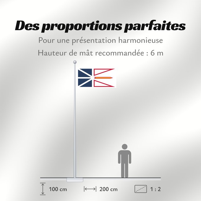 Proportions du drapeau : Newfoundland and Labrador	Terre-Neuve-et-Labrador	Terranova y Labrador	Neufundland und Labrador	Terranova	Banniel Douar-Nevez ha Labrador