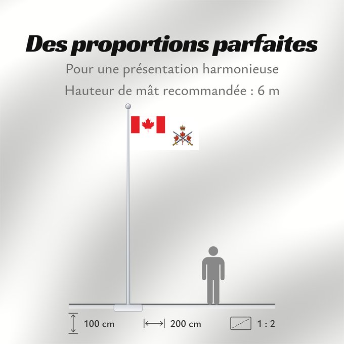 Proportions du drapeau : Canadian Army (2013–2016)