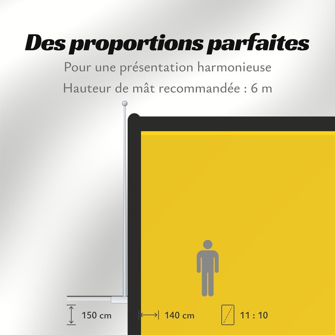 Proportions du drapeau : Lois Hole Arms