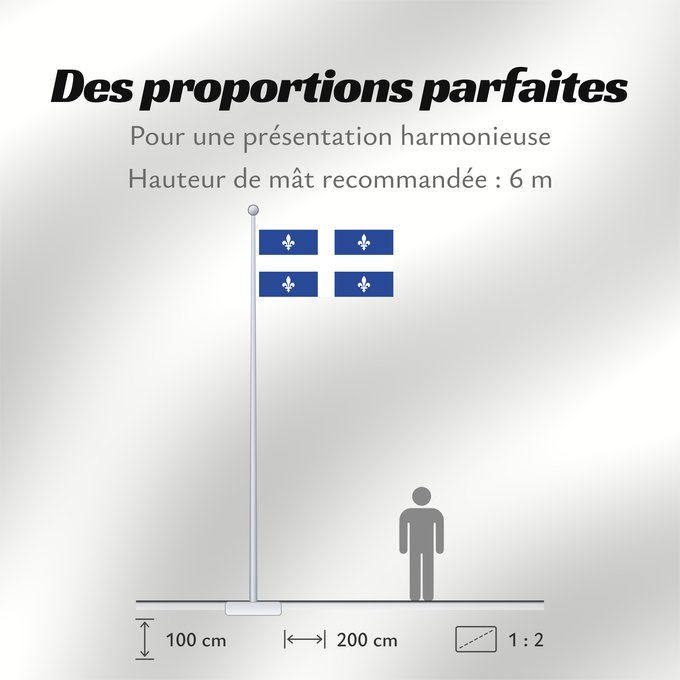 Proportions du drapeau : Quebec  1-2	Quebec with ratio 1 2	Québec  proportion 1 2	Quebec (1:2)	Québec (1:2)