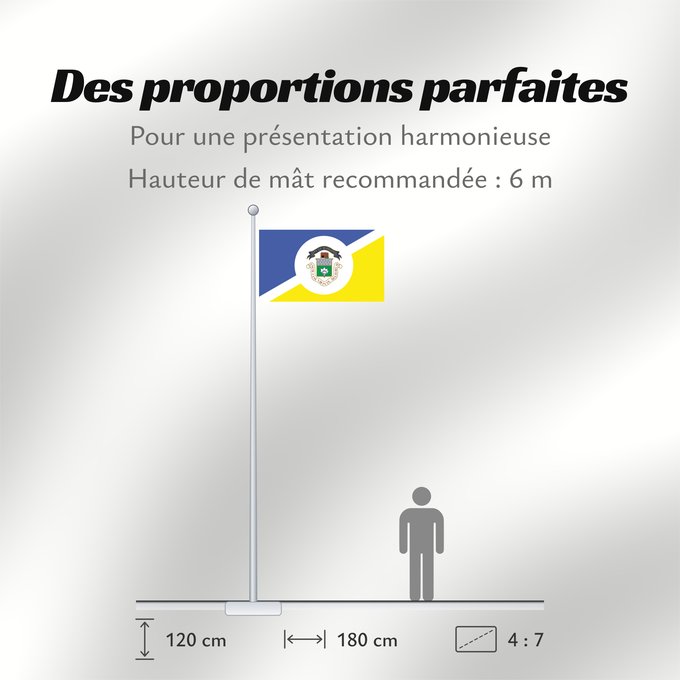 Proportions du drapeau : Winnipeg