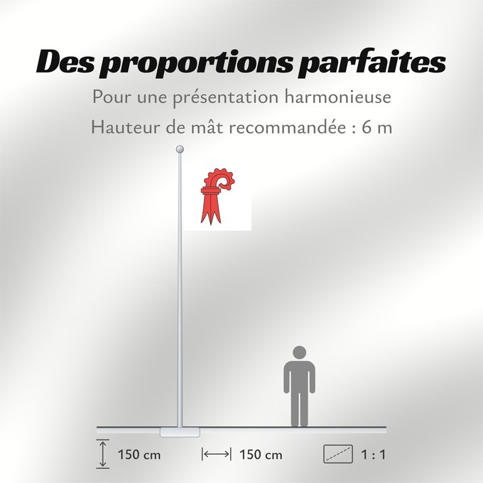 Proportions du drapeau : Canton of Basel Land Basel-Landschaft Bâle-Campagne Basilea-Campiña o Basilea-Campaña Canton of Basel Country Basel Landschaft/Bâle Campagne