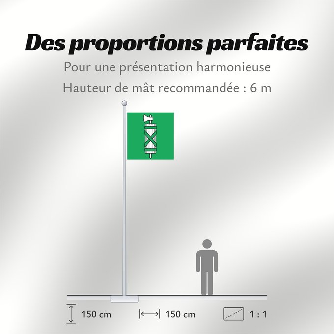 Proportions du drapeau : Canton of Sankt Gallen	Canton of St. Gallen	Saint-Gall	San Galo o San Gall	St. Gallen 	St. Gallen	Canton of Sankt Gallen  Saint Gallen