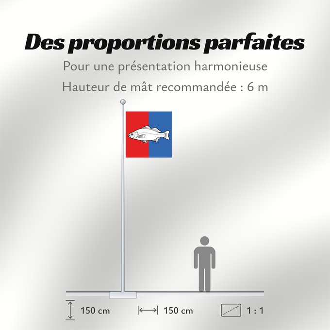 Proportions du drapeau : CHE Nyon Swiss city Nyon Miasta Nyon w Szwajcarii
