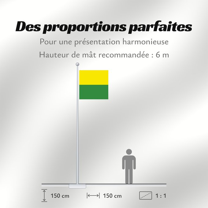 Proportions du drapeau : Rolle	Swiss municipality of Rolle, Canton of Vaud	Commune suisse de Rolle, du canton de Vaud
