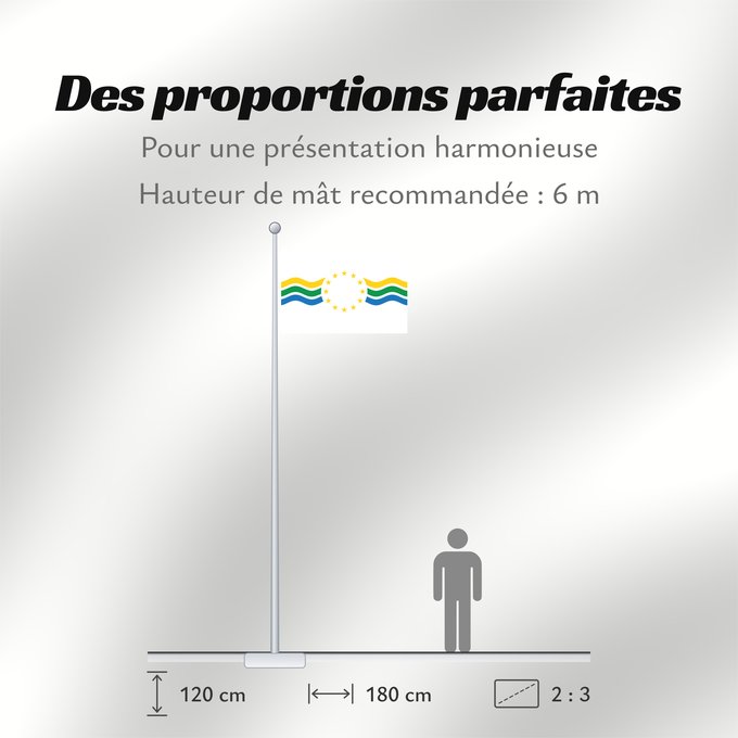 Proportions du drapeau : Los Ríos, Chile	Los Ríos Region, Chile	Région de Los Ríos, Chili	XIV Región de Los Ríos, Chile	Regione di Los Ríos, Cile