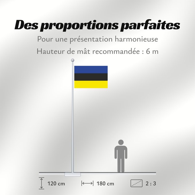 Proportions du drapeau : Placilla, Chile	Placilla