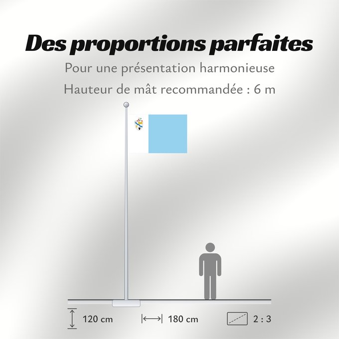 Proportions du drapeau : Río Bueno	Río Bueno, Chile