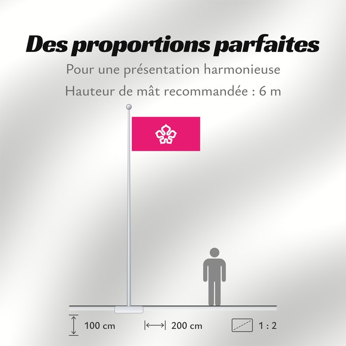 Proportions du drapeau : HKUrbanCouncil