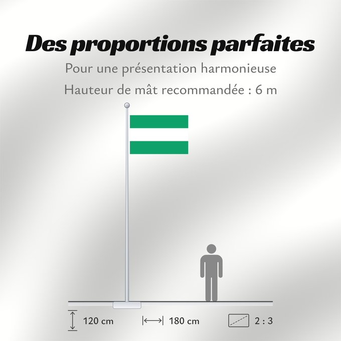 Proportions du drapeau : Tunja