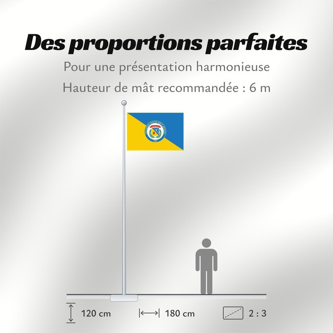 Proportions du drapeau : Universidad Militar Nueva Granada