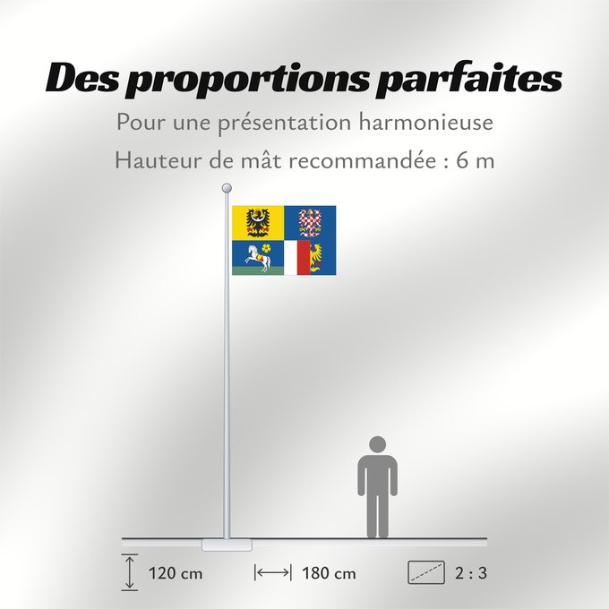 Proportions du drapeau : Moravian-Silesian Region	Région de Moravie-Silésie	Región de Moravia-Silesia	Moravian-Silesian	Moravskoslezského kraje čtvrcený list v horním žerďovém žlutém poli slezská orlice v dolním žerďovém modrém poli na zeleném trávníku