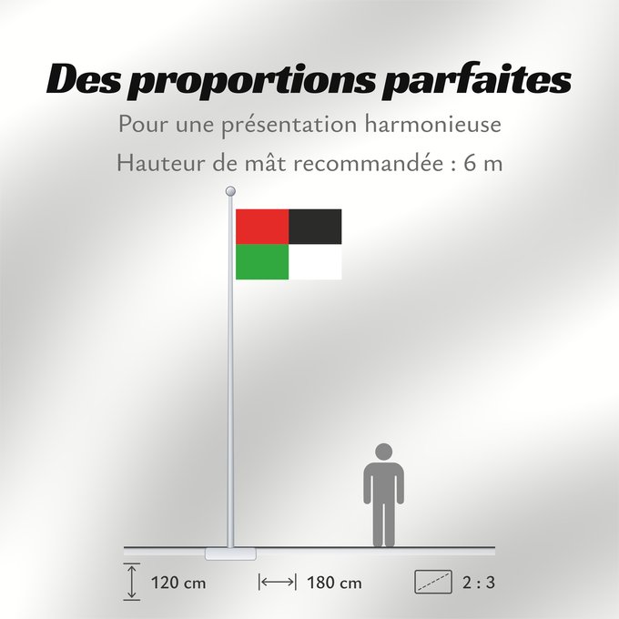 Proportions du drapeau : Dirna	Dírná  village in Czechia